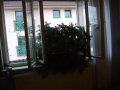 IMGP3407.JPG